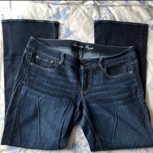 American Eagle artist stretch jeans